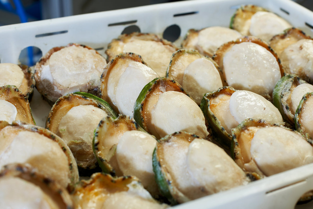 Frozen Green Lip Abalone
