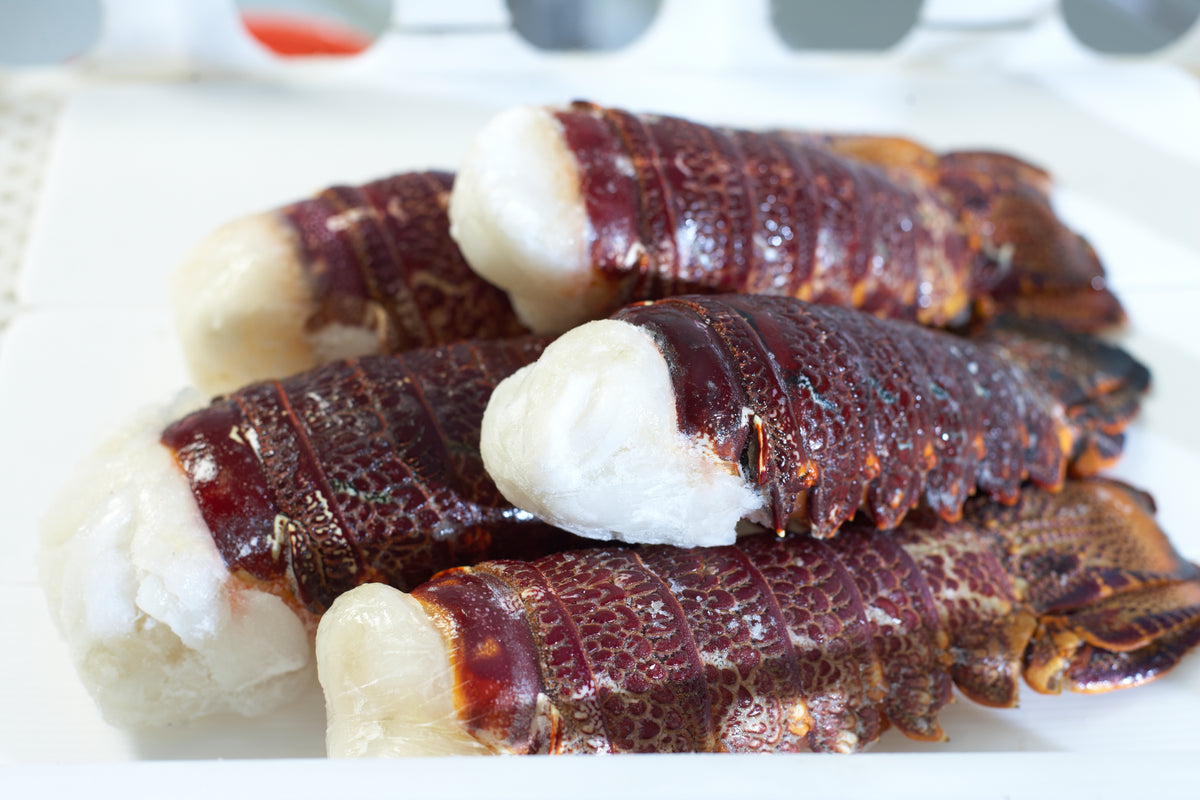 Frozen Lobster Tail