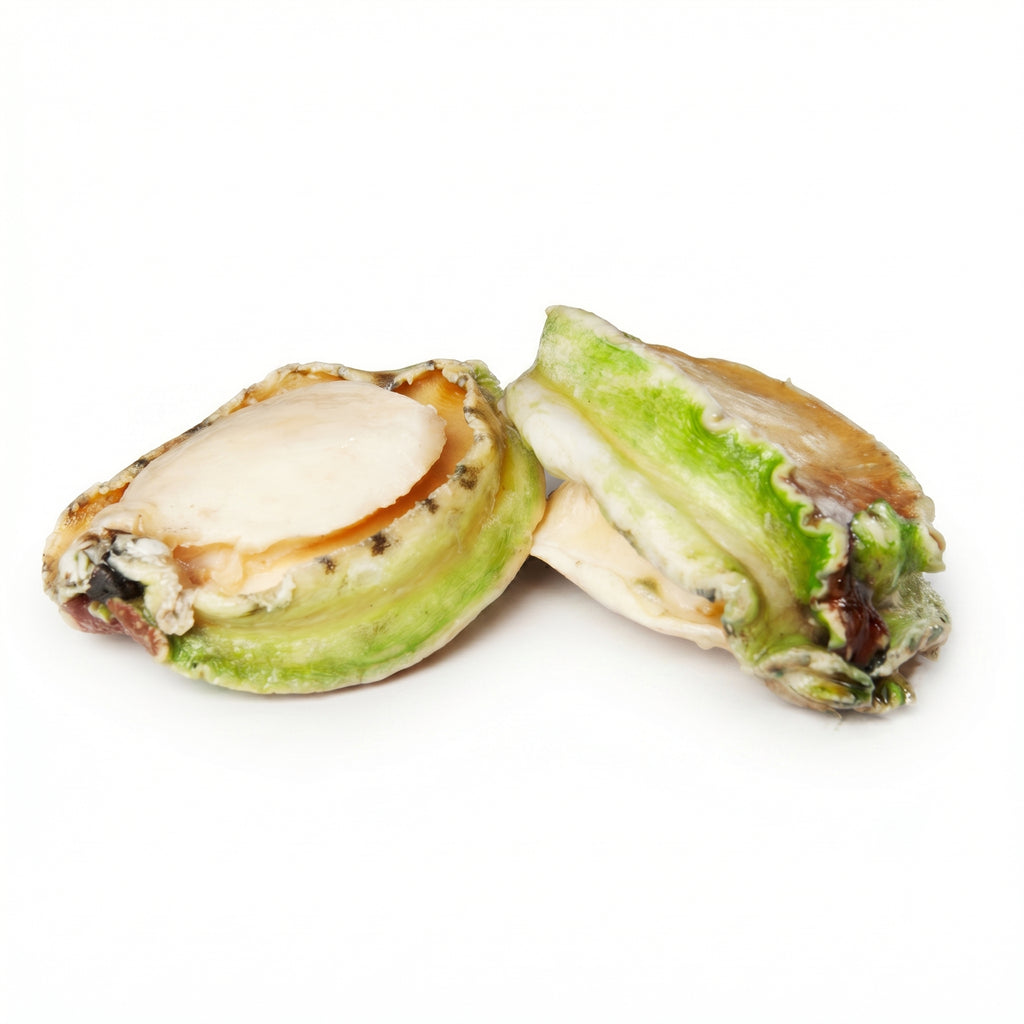 Frozen Green Lip Abalone
