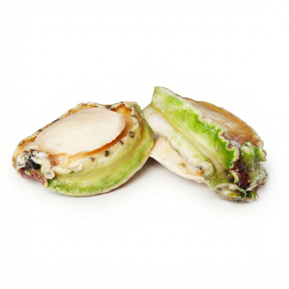 Frozen Green Lip Abalone