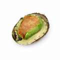 Green Lip Abalone