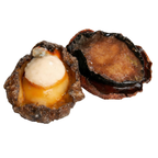 Frozen Black Lip Abalone