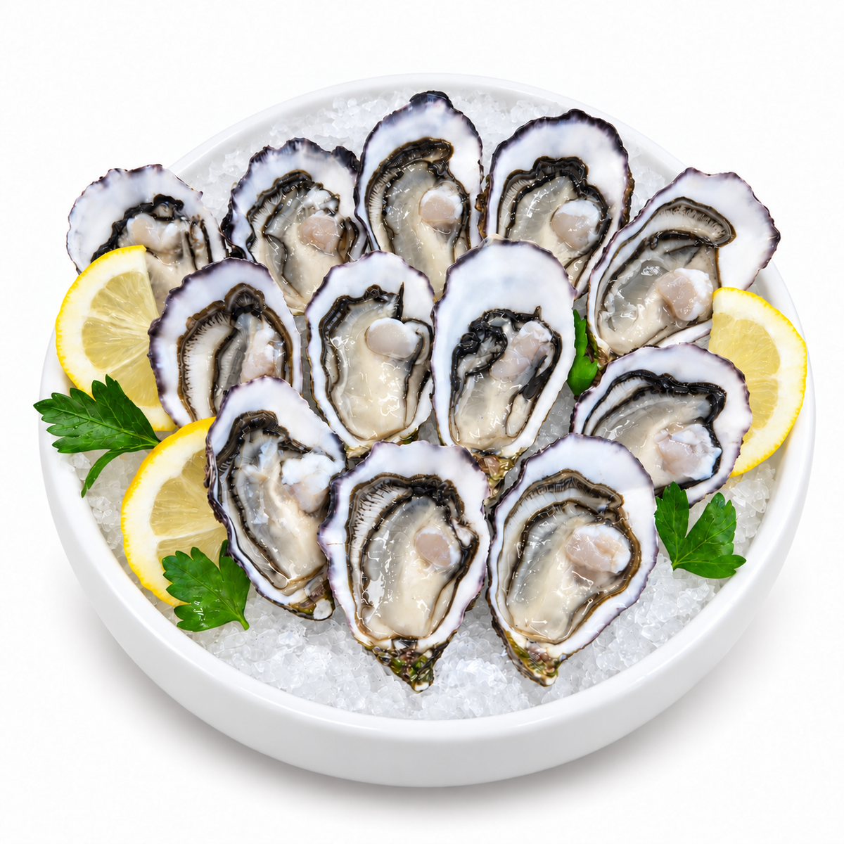 Pacific Oysters (Cup Day Pre-order)