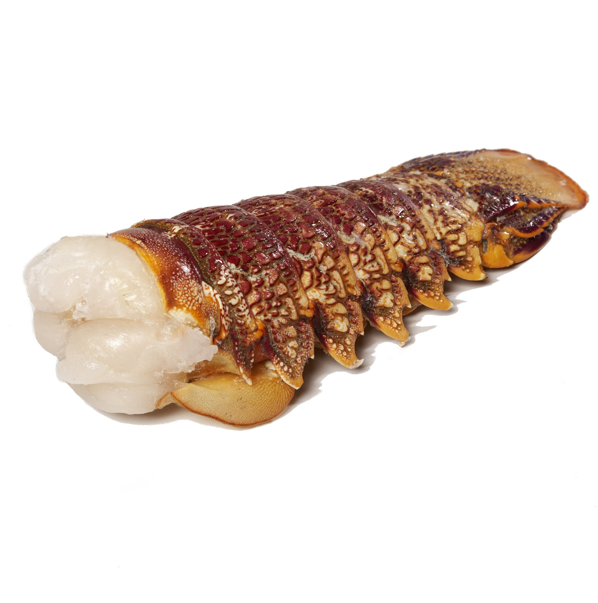 Frozen Lobster Tail